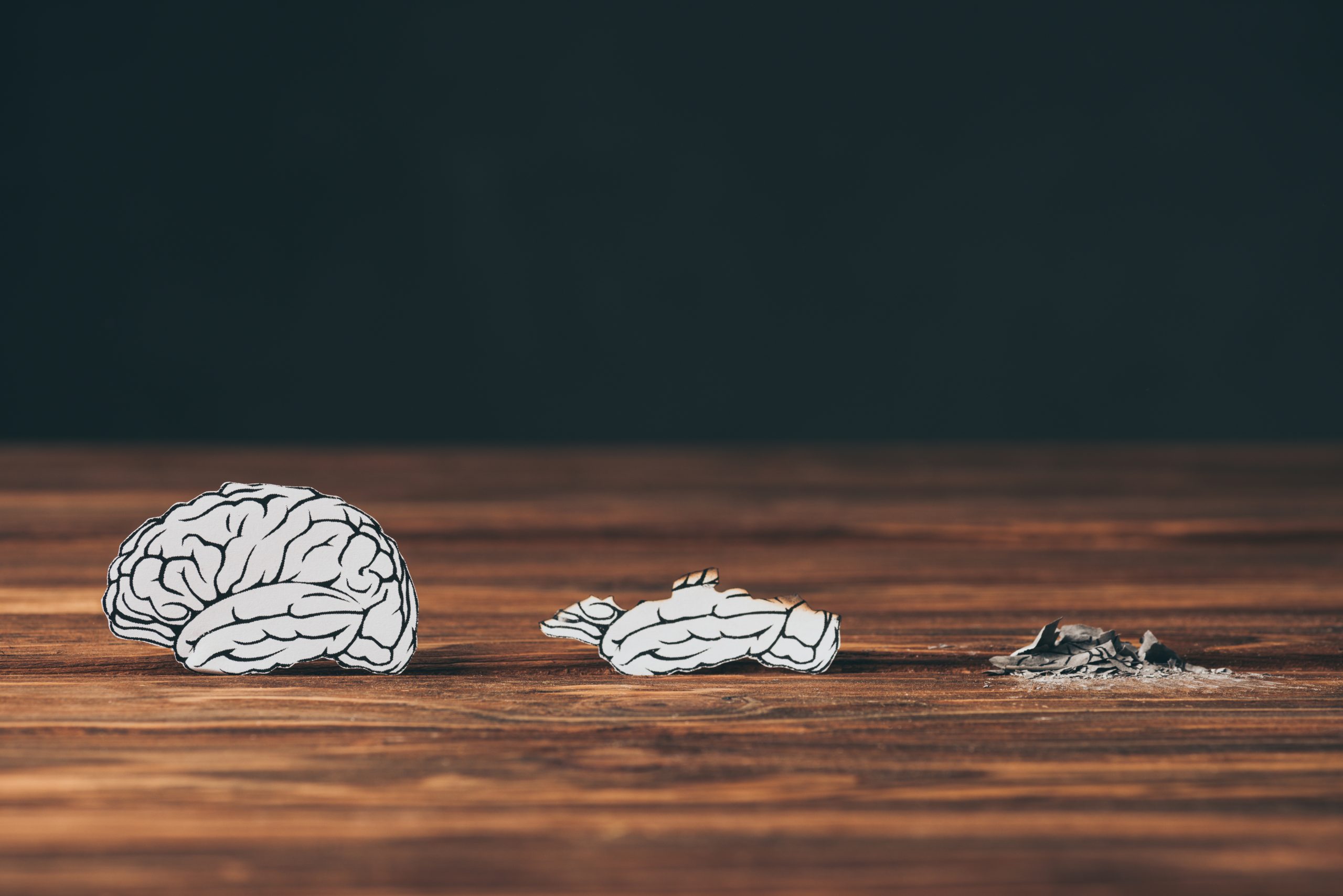 paper outlines of a deteriorating brain, highlighting the parts of the brain affected by alcohol