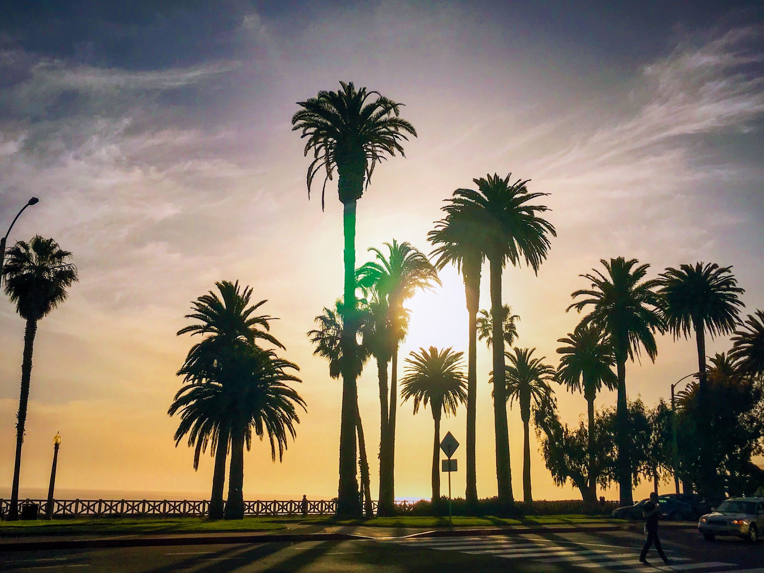 golden hour at Palisades Park in Santa Monica, where California sober may be right for you