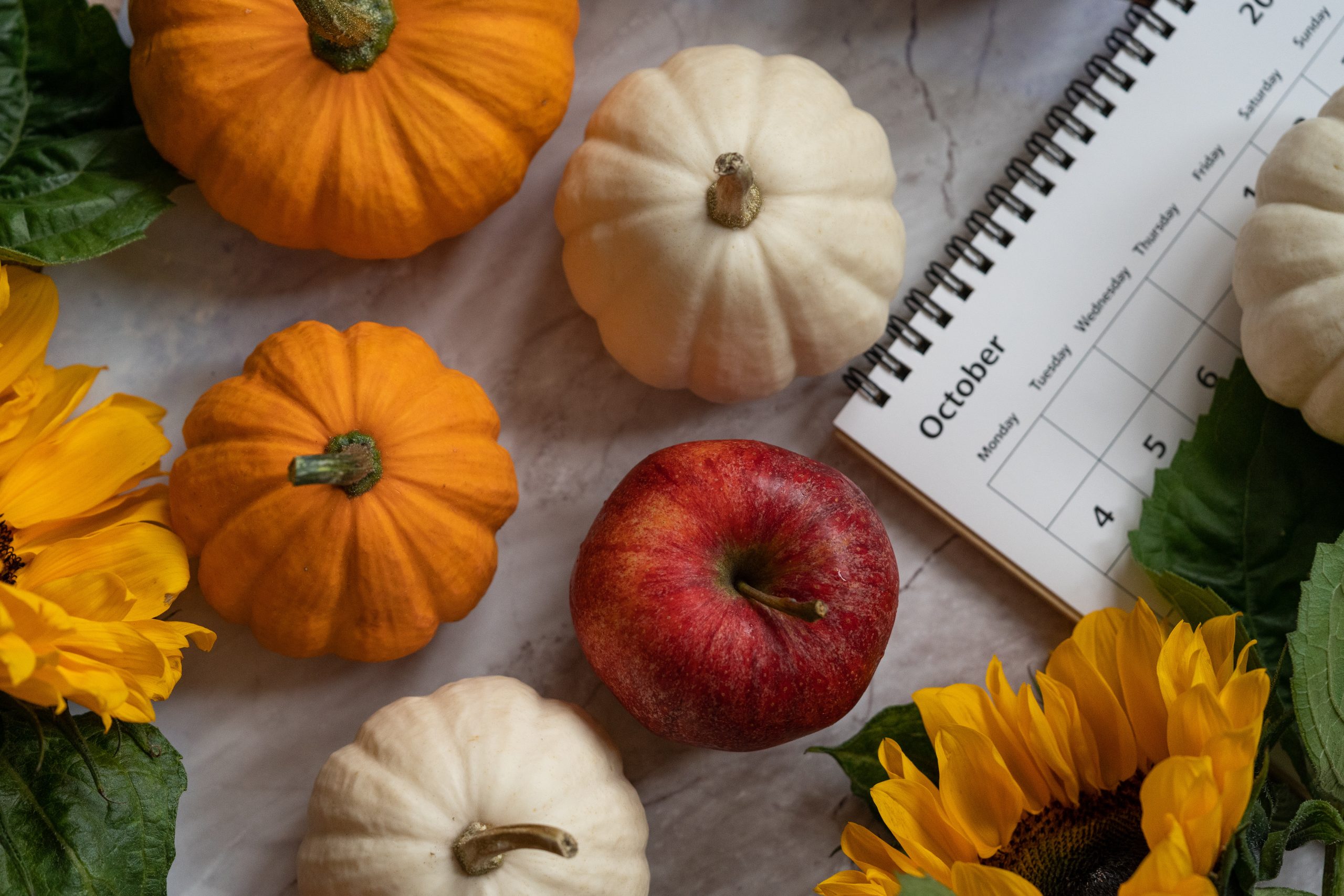 an October calendar surrounded by pumpkins so show Sober October challenge ideas